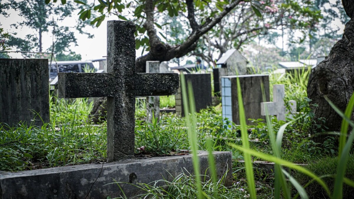    Фото: Cans Creative/Shutterstock/Fotodom