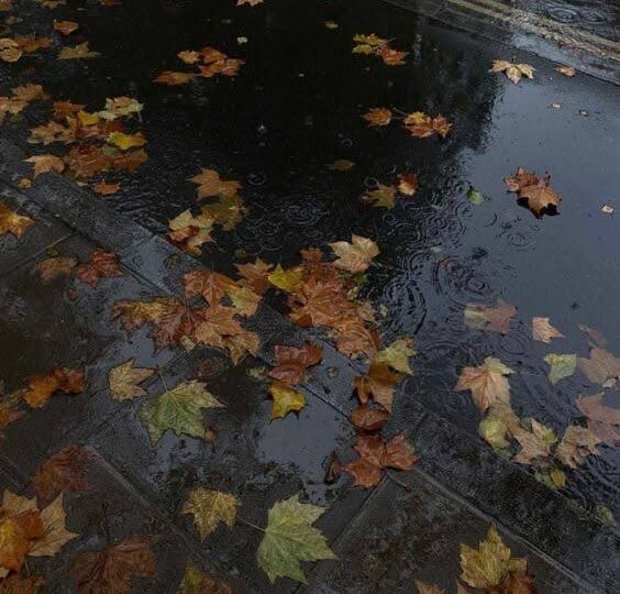 🍂 Как справляться с осенней хандрой