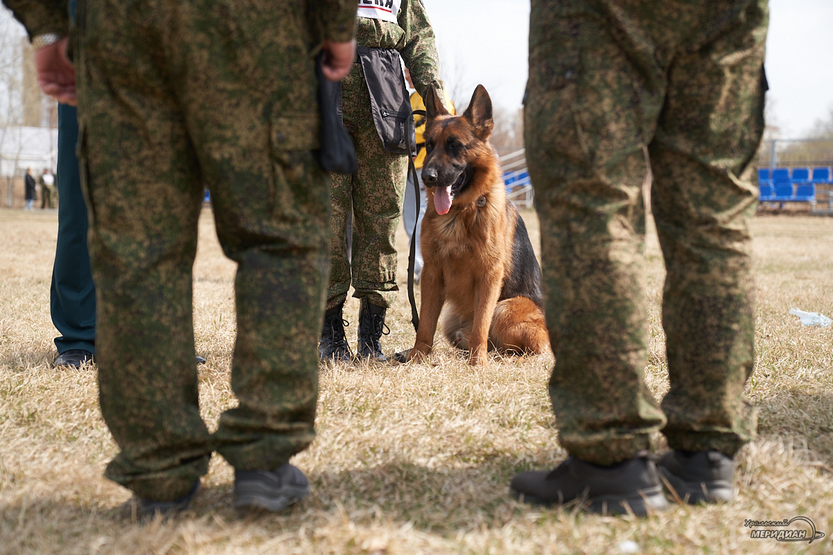   Фото: Лидия Аникина © ИА «Уральский меридиан»