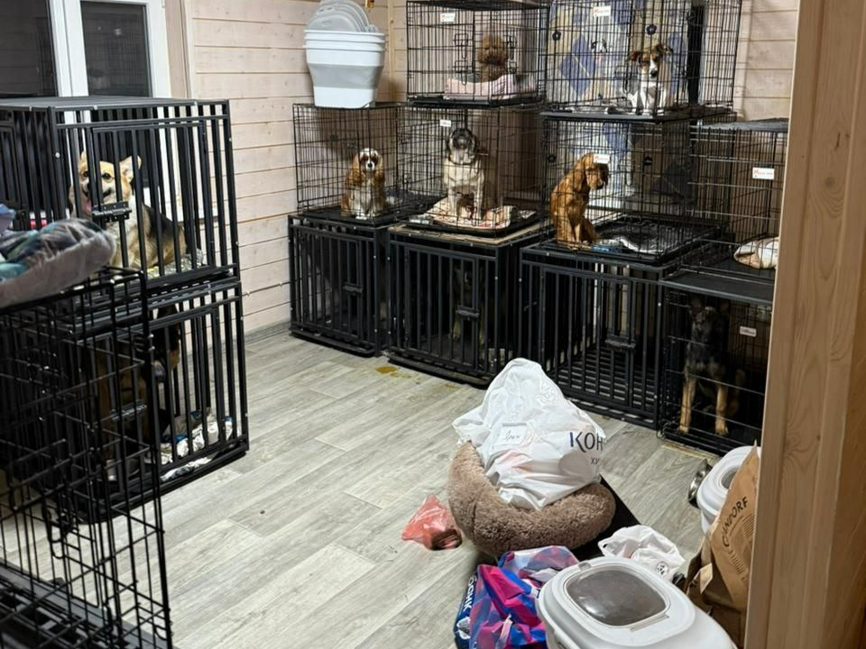    Фото: прокуратура Московской области