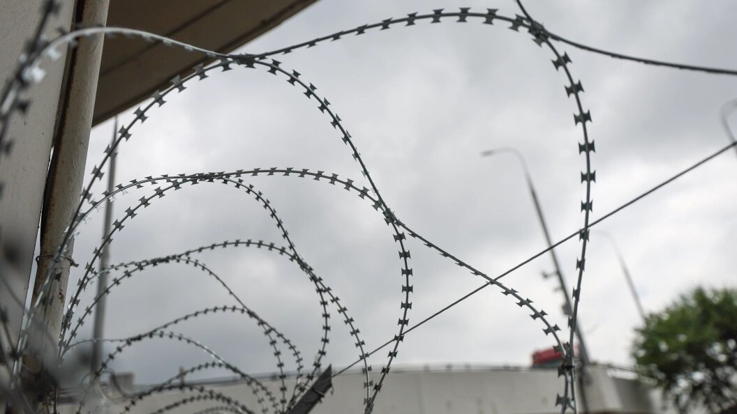    Фото: Belkin Alexey/Globallookpress