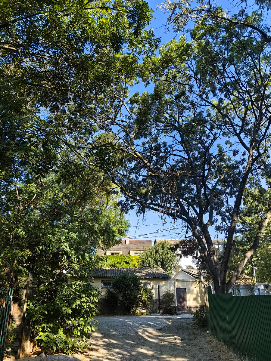 Сегодня. Фото автора канала