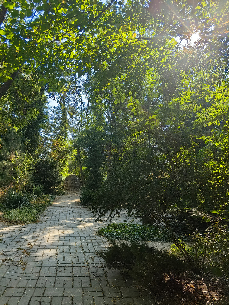 Сегодня. Фото автора канала