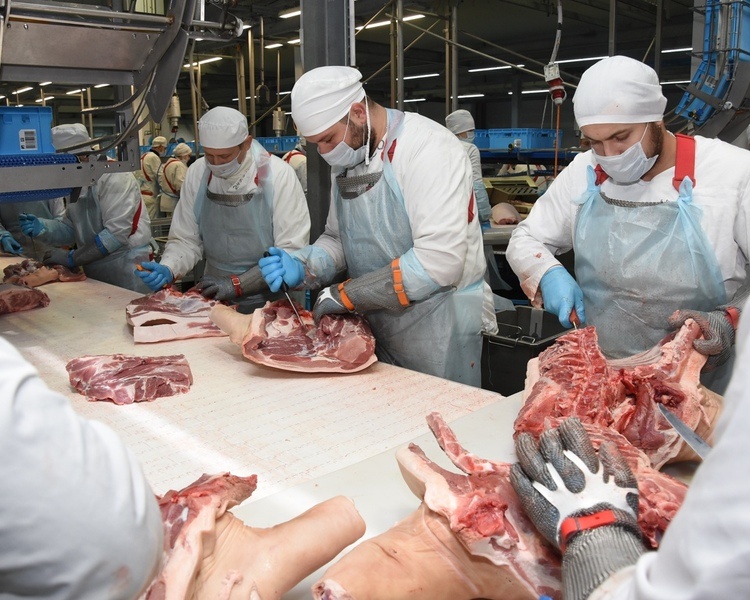     35,9 тысячи тонн мясной продукции доставлено из Курской области во Вьетнам и Гонконг