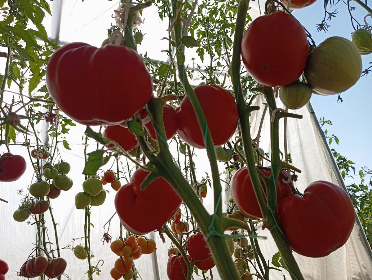 ЛИСТАЙТЕ ВПРАВО