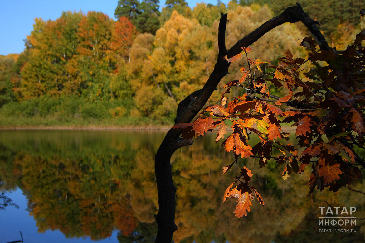 Фото: © «Татар-информ»