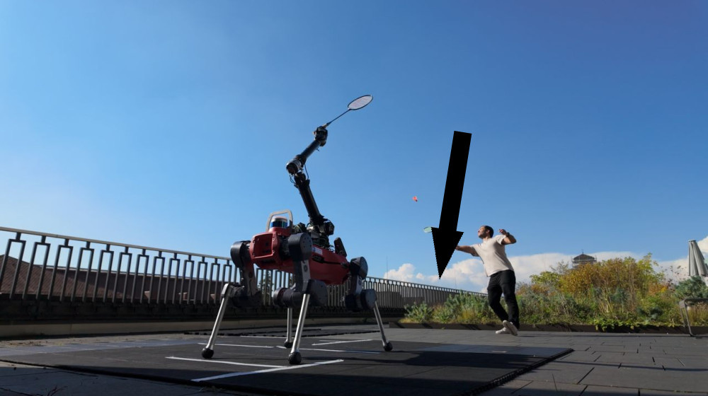    Робот-пёс научился играть в бадминтон и удивил учёных своей ловкостью