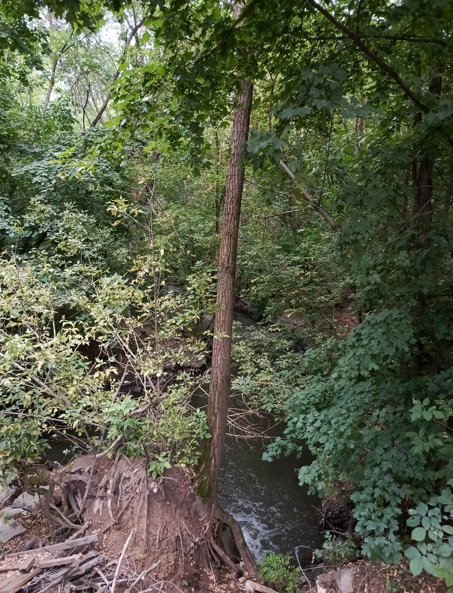 Река Кизитеринка, парк Авиаторов или "Нормальные герои всегда идут в обход!" Но! К трейлраннерам это - не относится) В реку, вброд - с радостью!)) И если насчёт героизма сомнений нет, то вот про нормальность... "Что нормально и где критерий нормальности, скажи..." - цитата из песни гр. Татуин