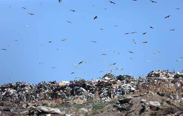 Кирилл Кухмарь/ТАСС