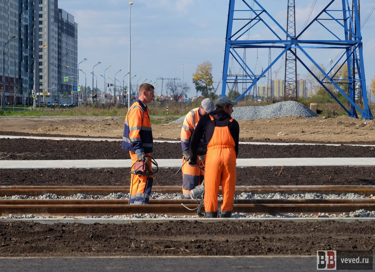     Фото: Владислав Постников / Вечерние ведомости
