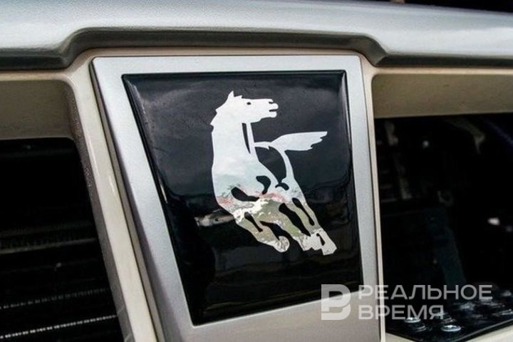   Максим Платонов / realnoevremya.ru