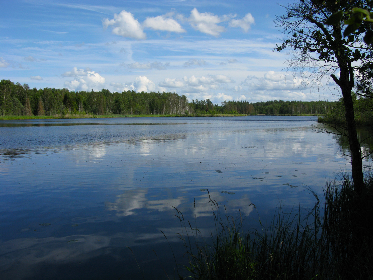 Озеро Водолога.