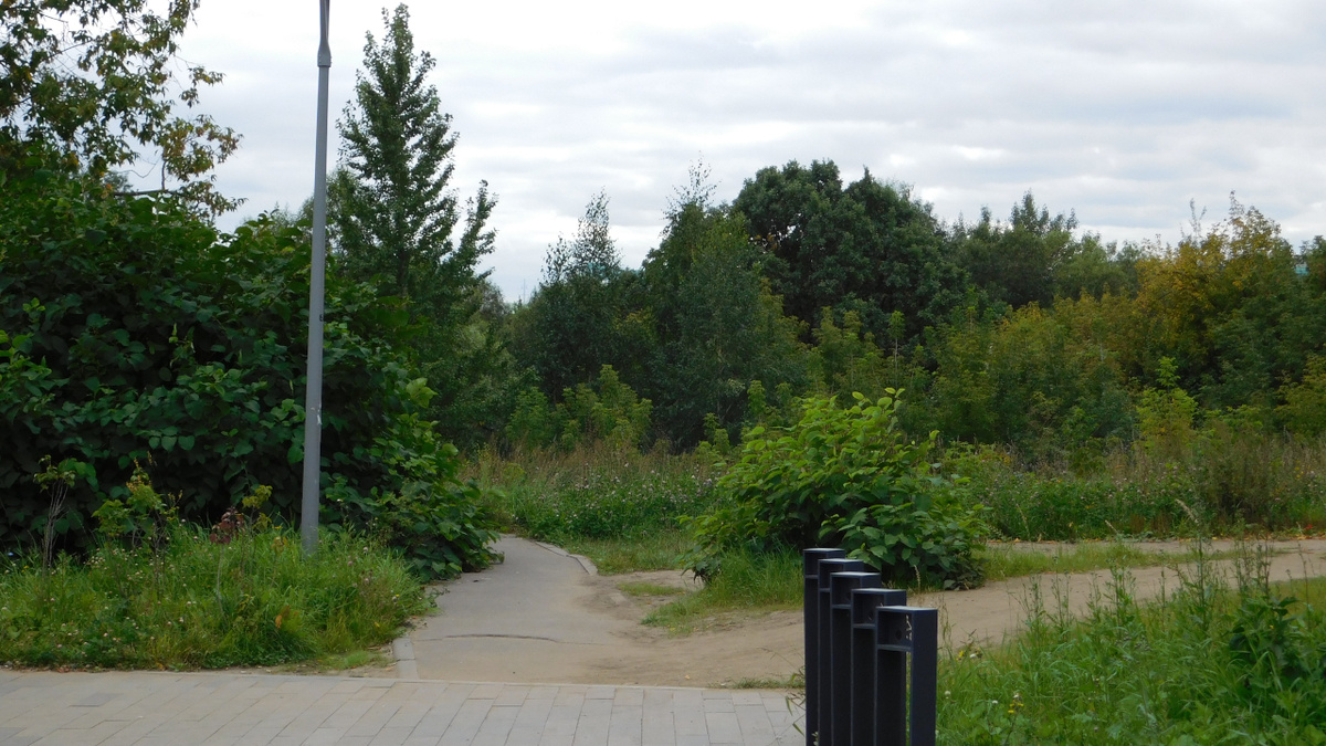 Пешеходные дорожки от станции метро «Давыдково»