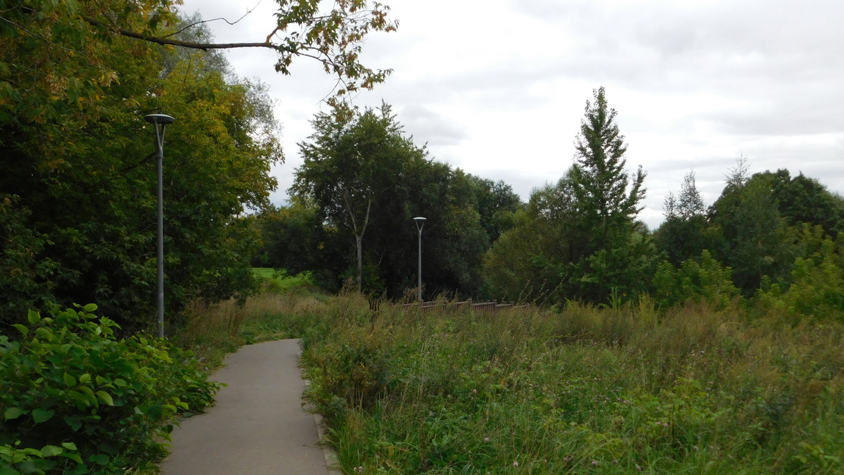 Путь к деревянной лестнице