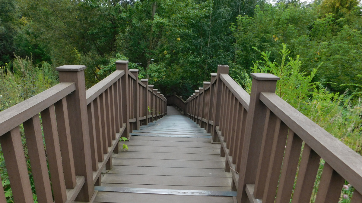 Деревянная лестница, спуск к реке «Сетунь», и к тропам в город