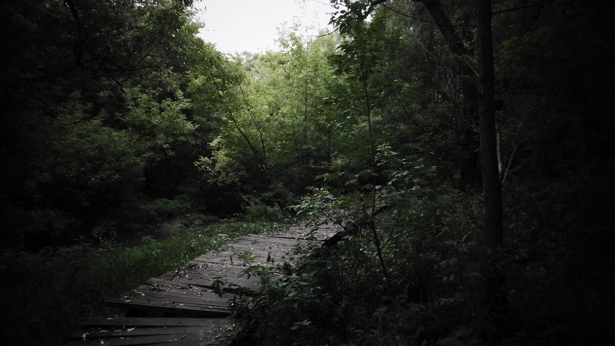 Полуразрушенный мосток вдоль реки