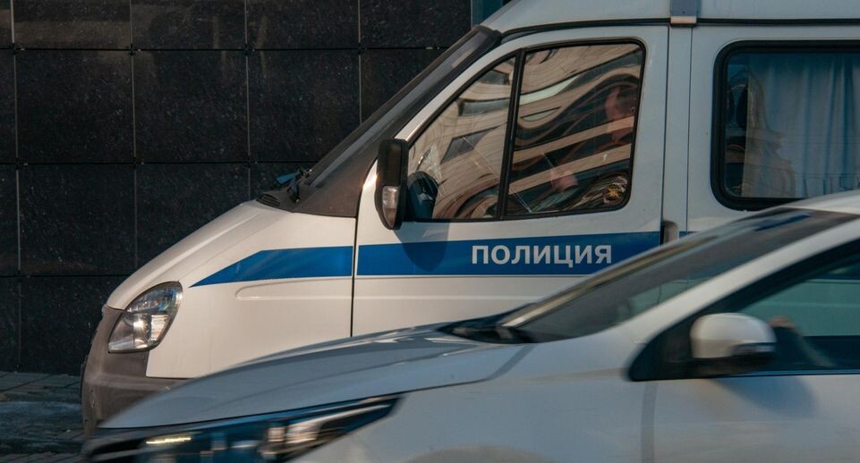    Svetlana Vozmilova/Global Look Press / www.globallookpress.com