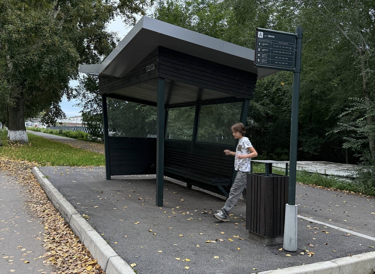 В Шушенском на одной улице были обнаружены такие интересные остановки, обратите внимание на дизайн 