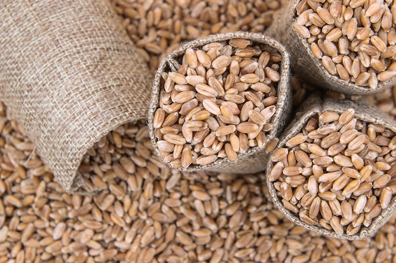    Сергей Булкин/NEWS.ru