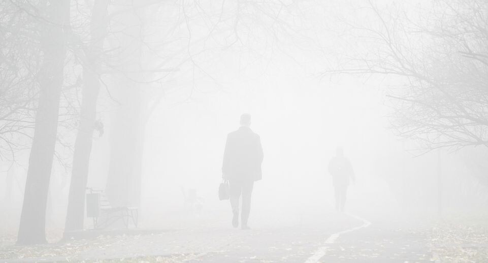    Медиасток.рф