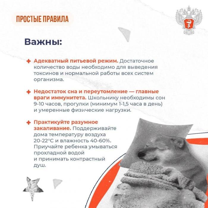 Укрепляем иммунитет
Фото: Минздрав РФ