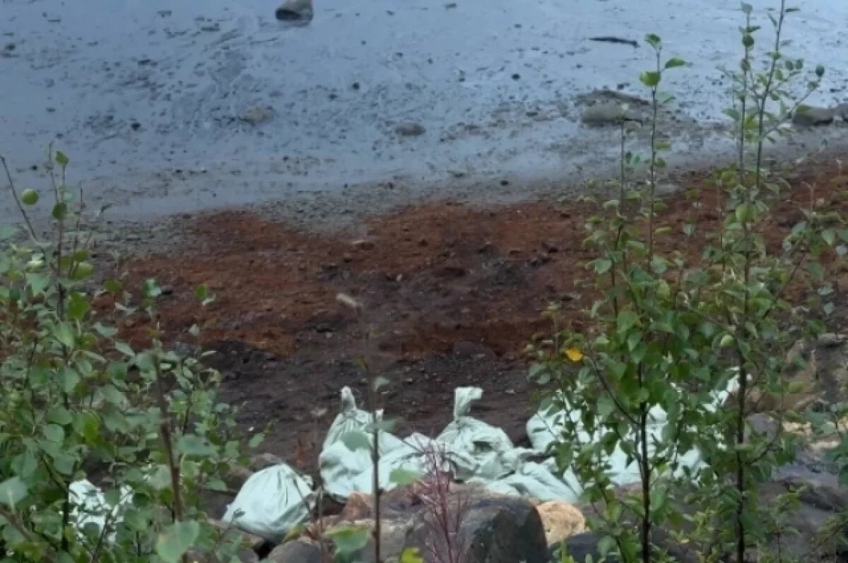    В Мурманске 10 работников борются с мазутом на берегу Кольского залива