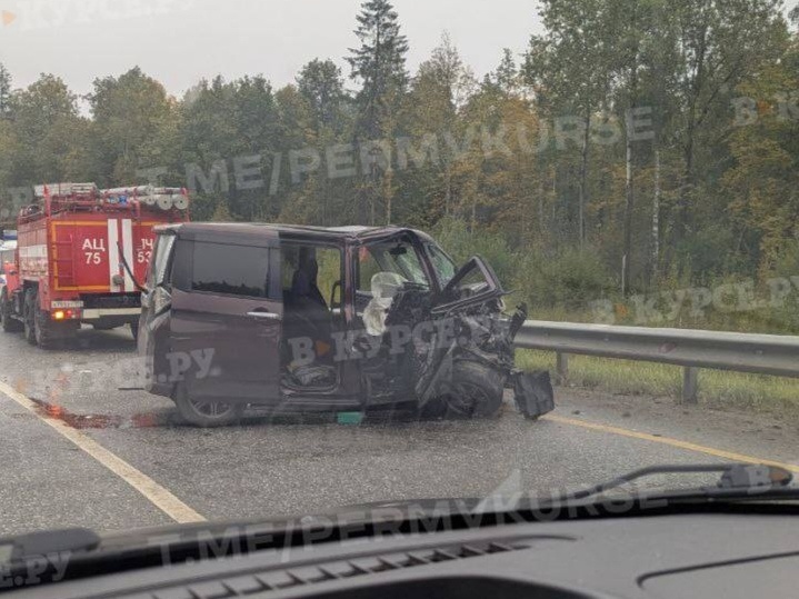    Фото: В курсе.ру Полина Анкушина