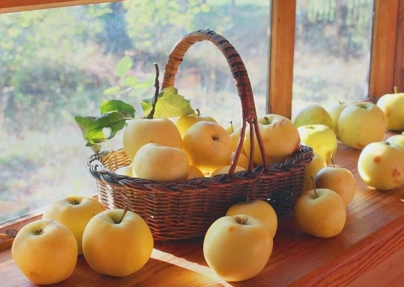 Фото из открытого доступа