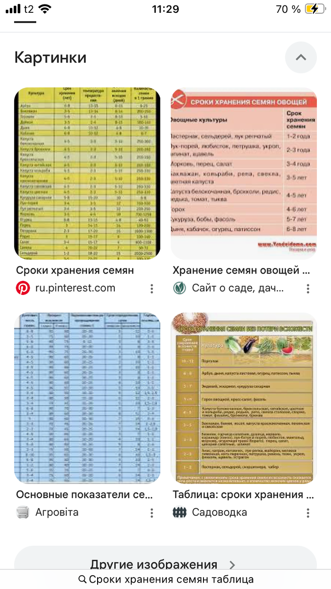Скриншот страницы поиска по запросу «Срок хранения семян»