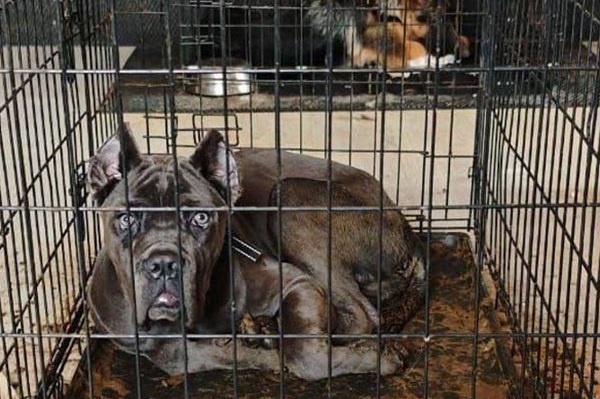 Фото: Telegram-канал SHOT