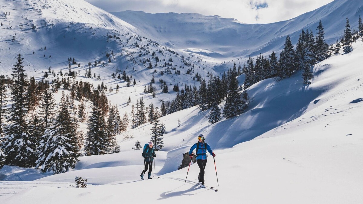    Фото: zedspider/Shutterstock/Fotodom