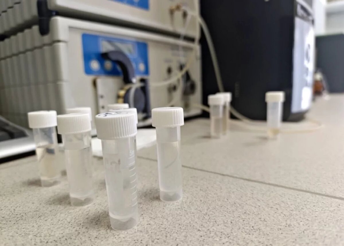    Сибирские учёные создали биосорбент из лузги гречихи для очистки водоёмов