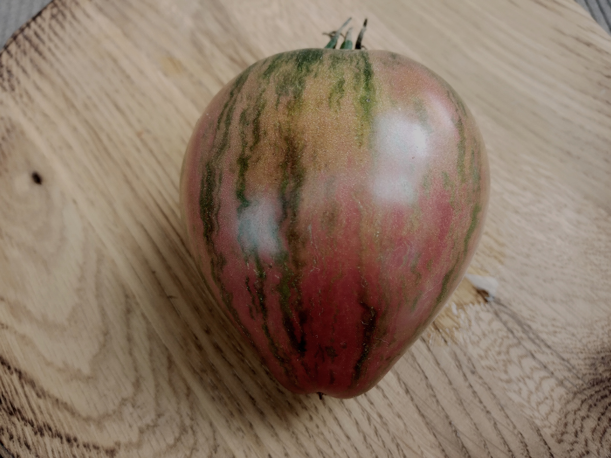 Фото автора от 05.09.2025г Портрет плода томата Изумрудная парча.