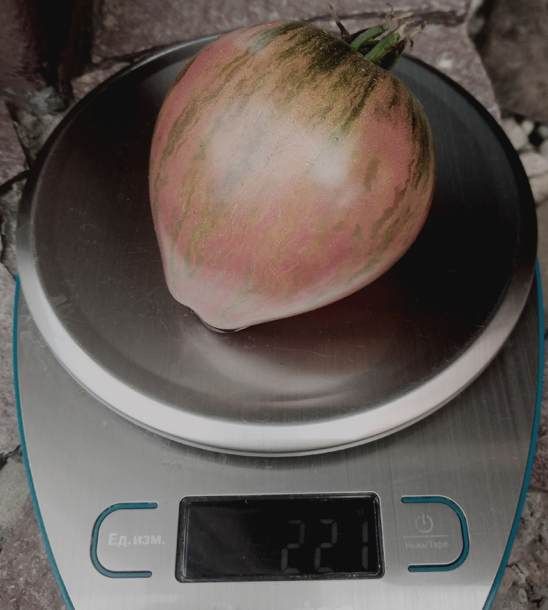 Фото автора от05.09.2025г. Вес плода 221 грамм.
