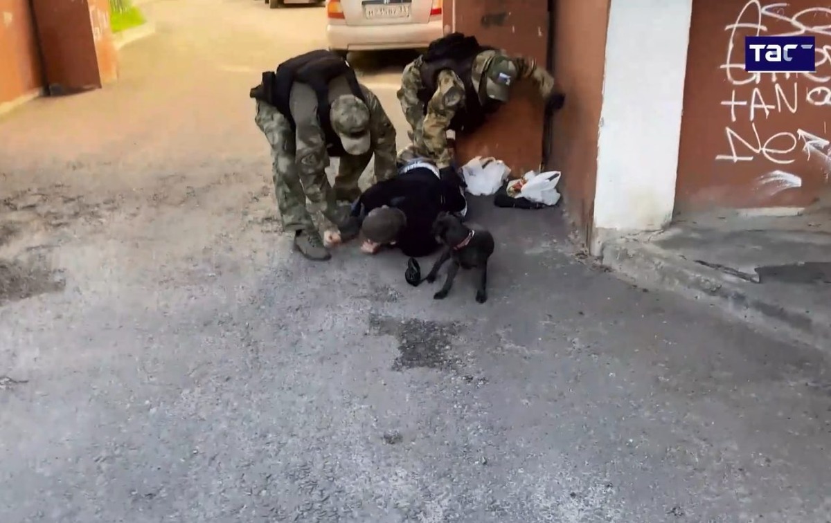     Фото: скрин видео