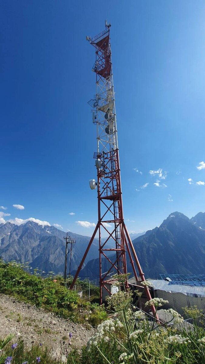    Фото: Открытый источник