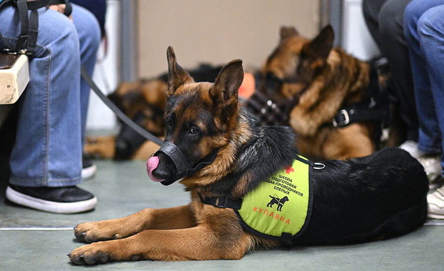    © Алексей Майшев/РИА Новости