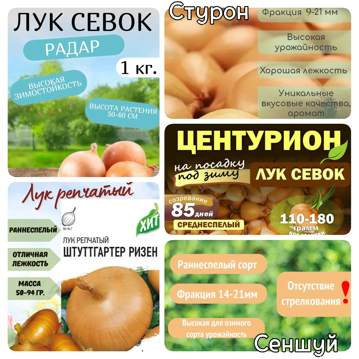 Как спасти урожай: почему озимый лук "уходит в стрелку" и что с этим делать