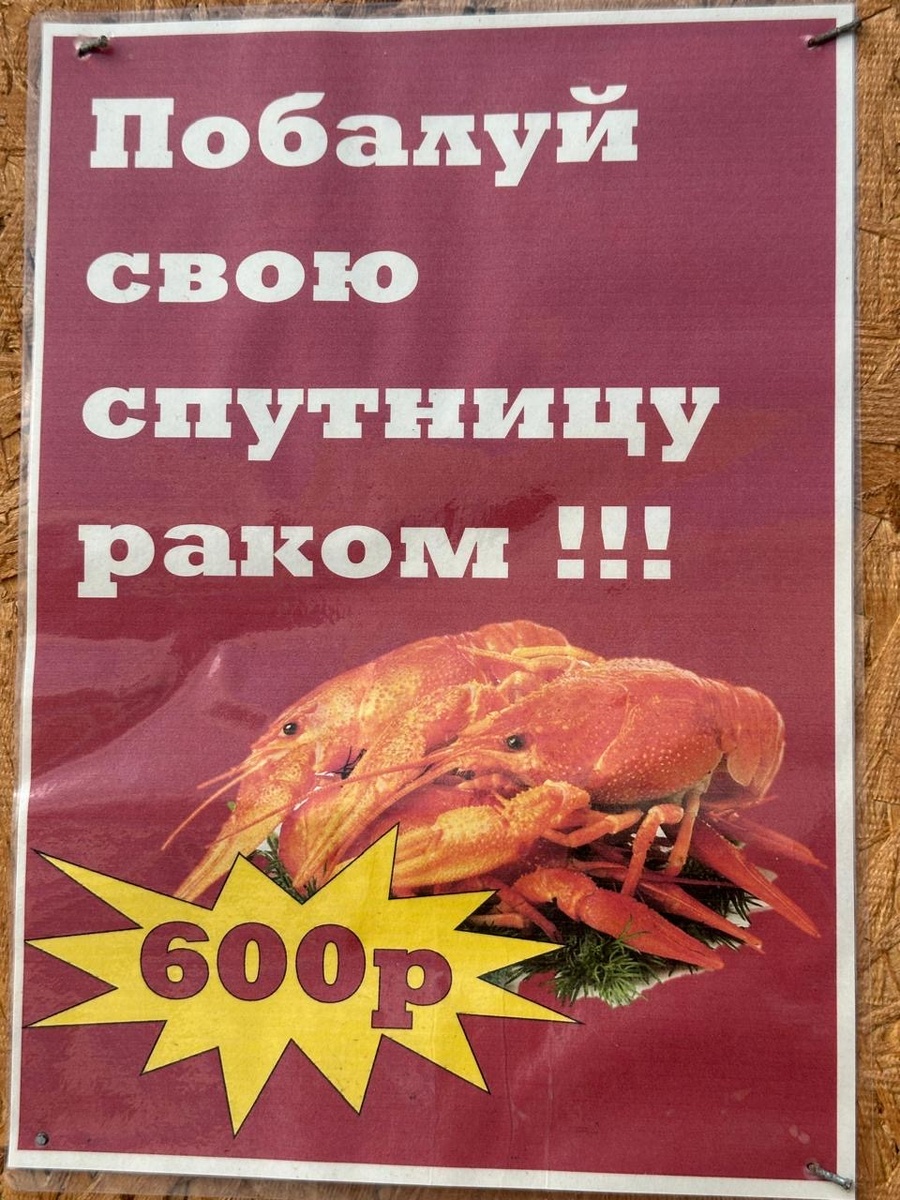 Фото автора. 