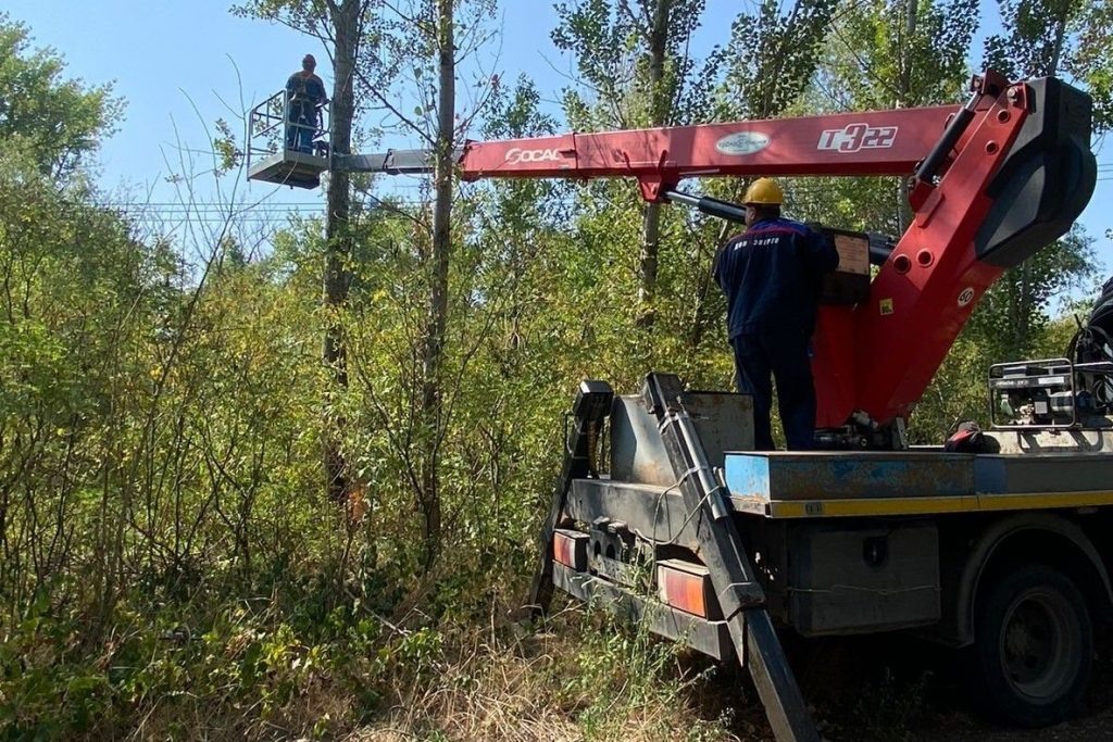    Фото: donland.ru Редактор