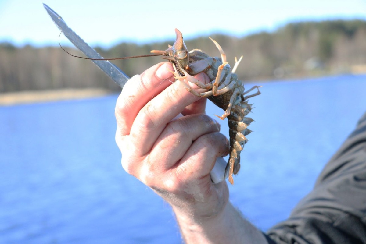    Фото: "Республика"/Даниил Рыжихин