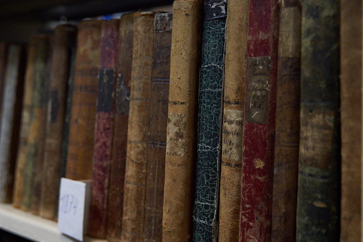    Фото: Лидия Аникина