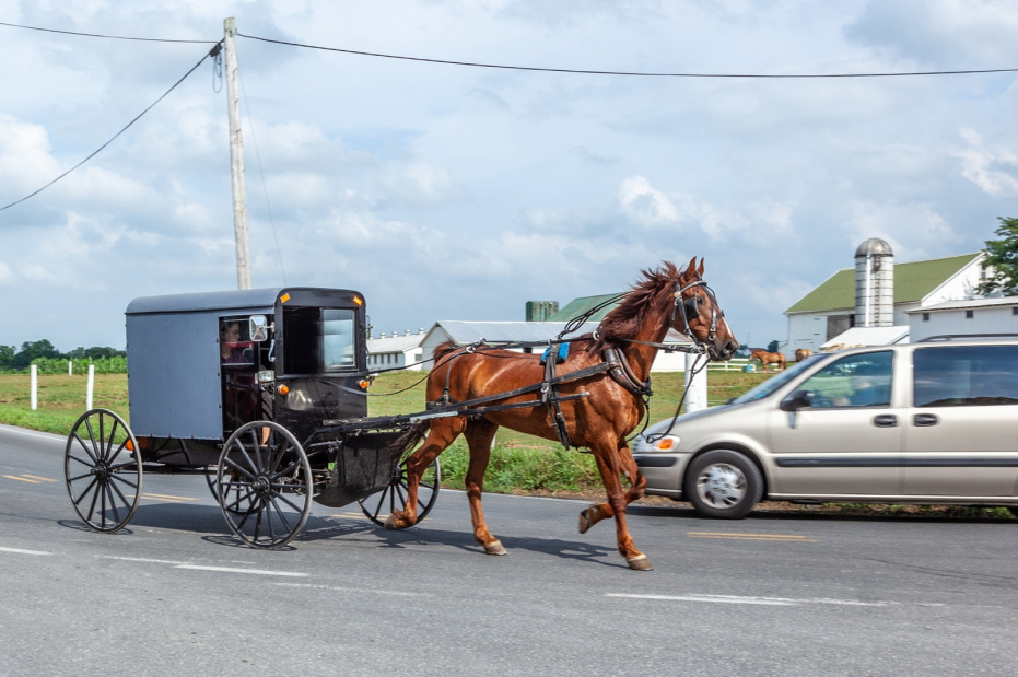   Shutterstock/FOTODOM