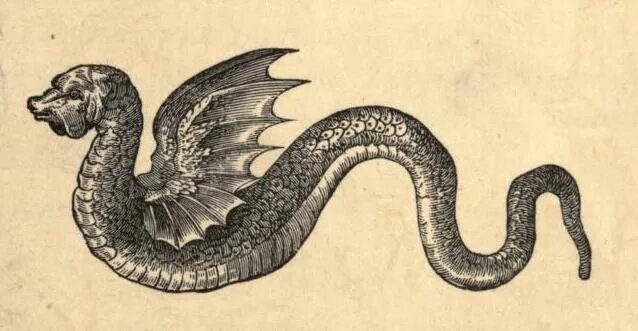 Аспид гравюра XVII века