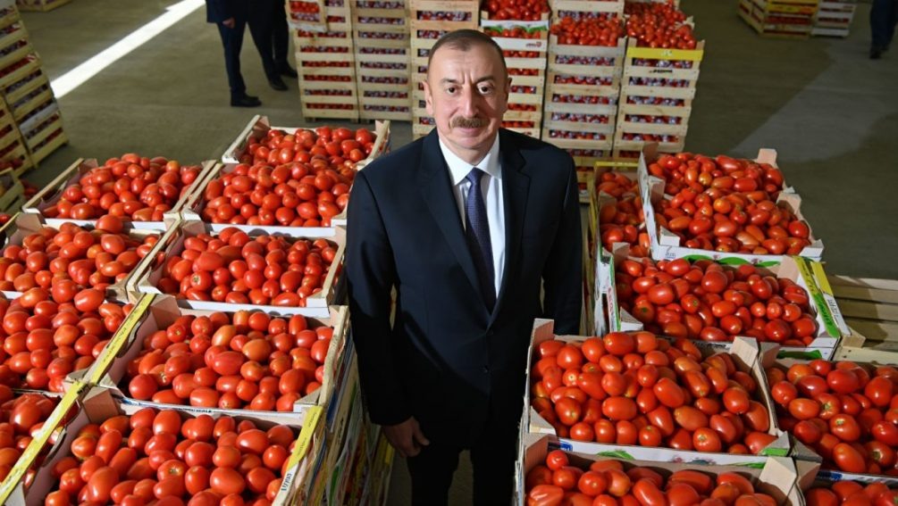   Ильхам Алиев и его помидоры. Иллюстрация: "Блокнот"