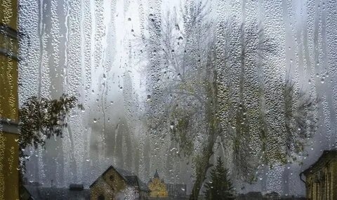 Картина из открытого источника сети Интернет.