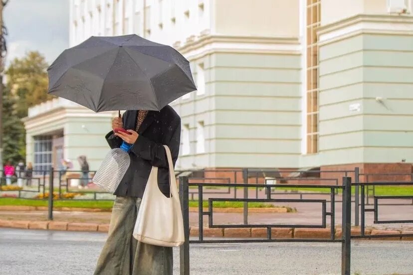    Подселение бедных к богатым, тюрьма за сбитого голубя, нечто странное на дороге и перформанс в фонтане: что обсуждают ижевчане в соцсетях 5 сентября