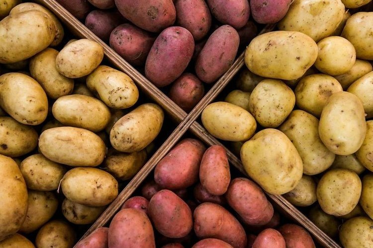    Фото: СФНЦА РАН