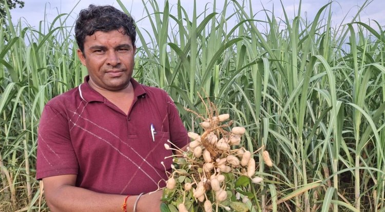    Фото: Nima/CIMMYT