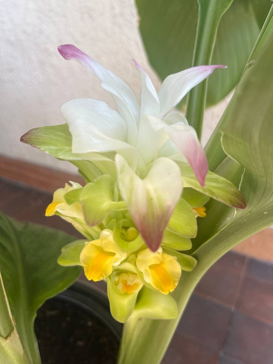    Фото: Telegram/Сочинский географ